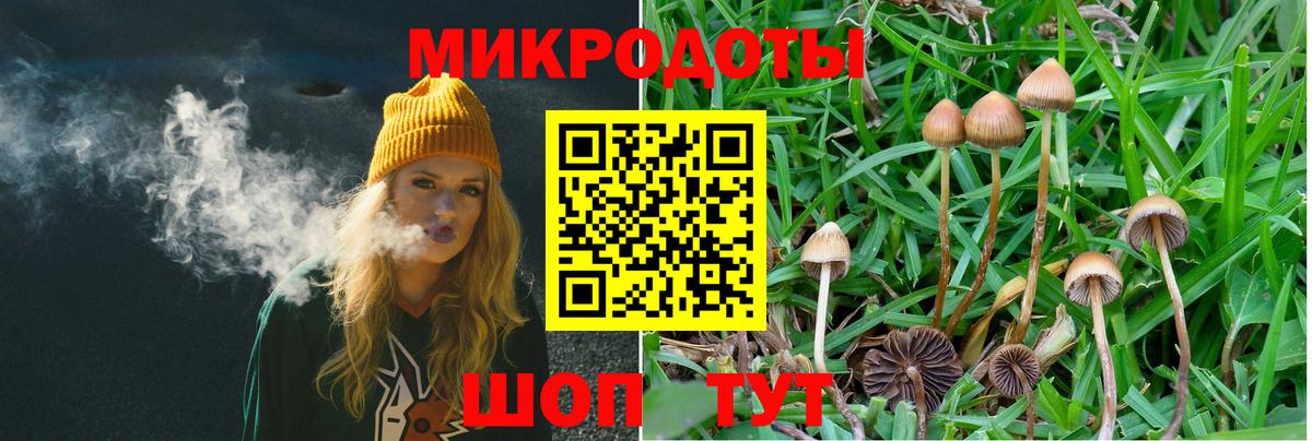 Канабис  Мурино  Меф МЯУ МЯУ   ГАШ  Вход с VPN 