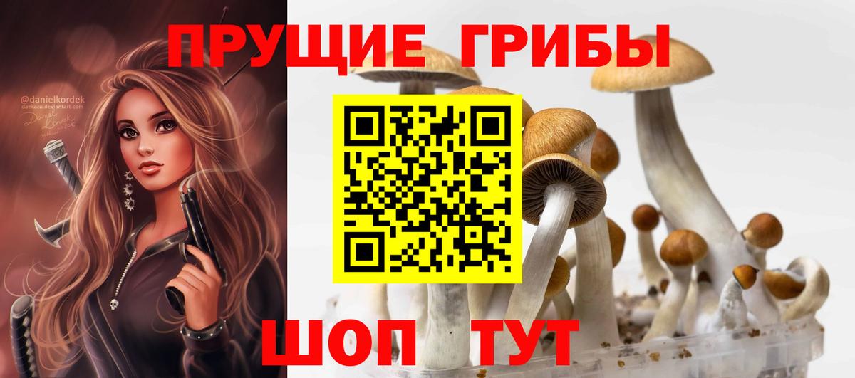 Псилоцибиновые грибы ЛСД Мурино
